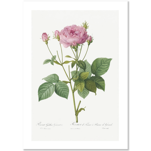 06e199bd-4be4-4e63-bd38-cec47aa65a9d