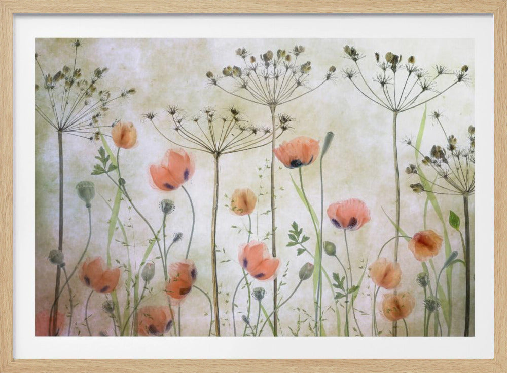 A delicate botanical artwork in a silver frame, featuring translucent orange poppies and the skeletal forms of dried Queen Anne's lace against a soft, textured cream background, creating a dreamy, ethereal meadow scene. Decor