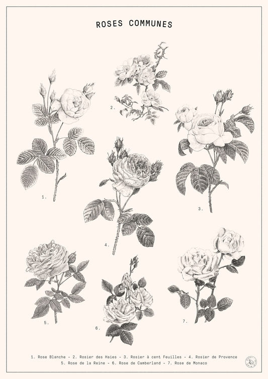variant-21x30_no-margin