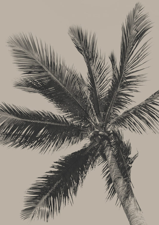 variant-21x30_no-margin