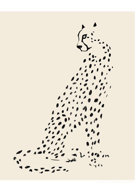 variant-21x30_no-margin