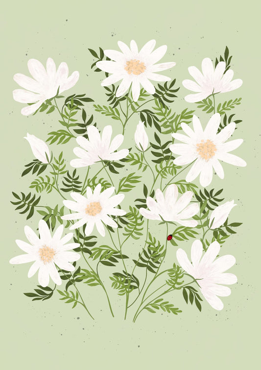 variant-21x30_no-margin