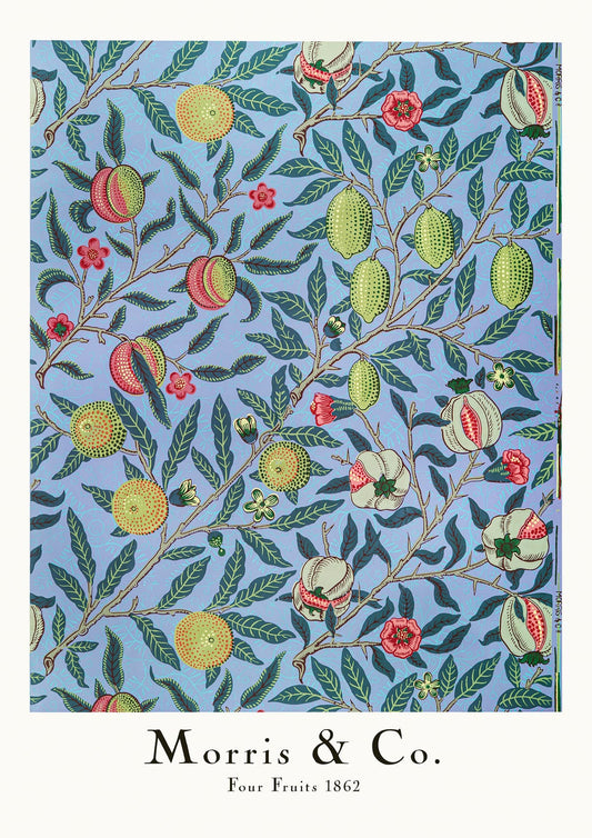 variant-21x30_no-margin
