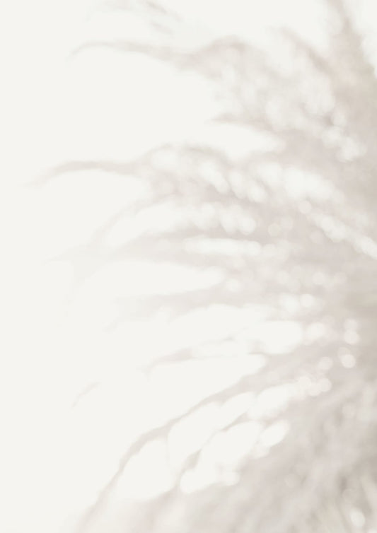 variant-21x30_no-margin