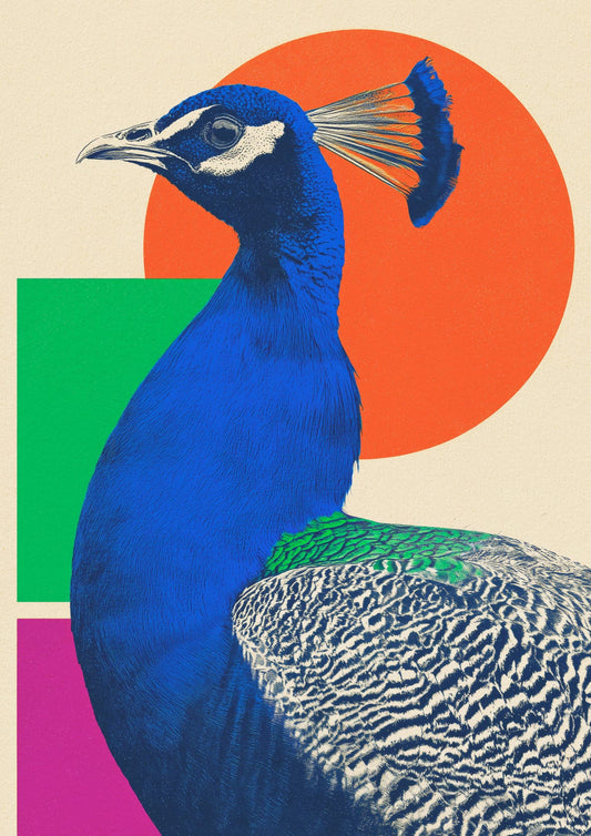 variant-21x30_no-margin