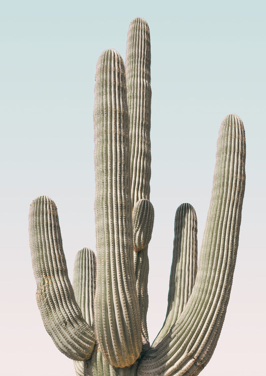 variant-21x30_no-margin