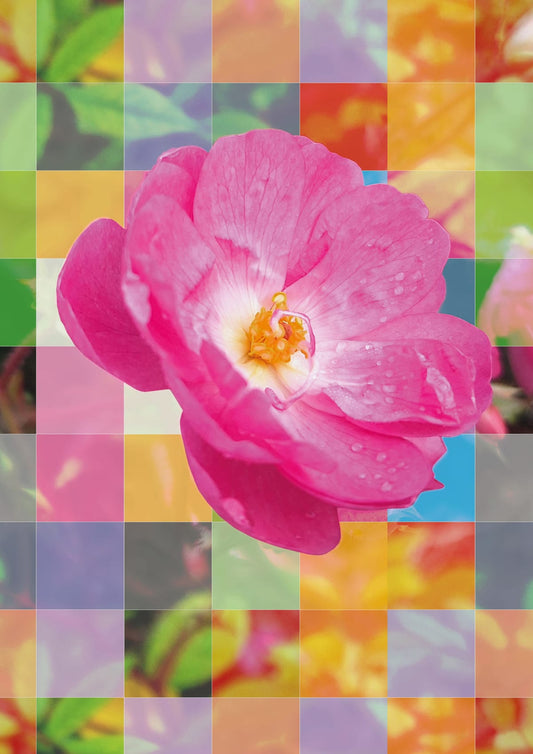 variant-21x30_no-margin