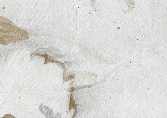 variant-21x30_no-margin