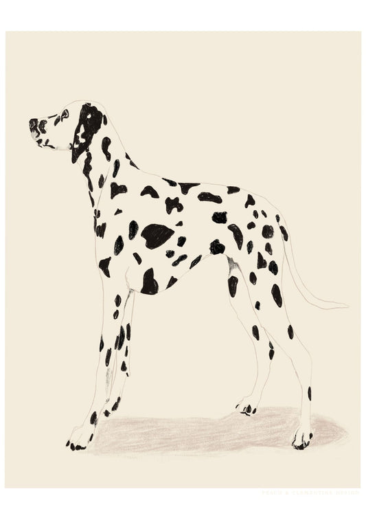 variant-21x30_no-margin