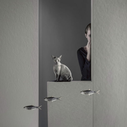 variant-30x30_no-margin