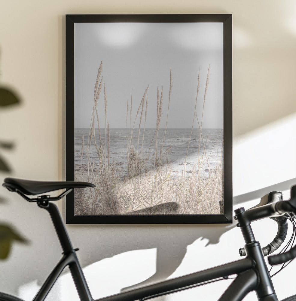 Beach_Vass_001 - Poster / Art Print - interiör