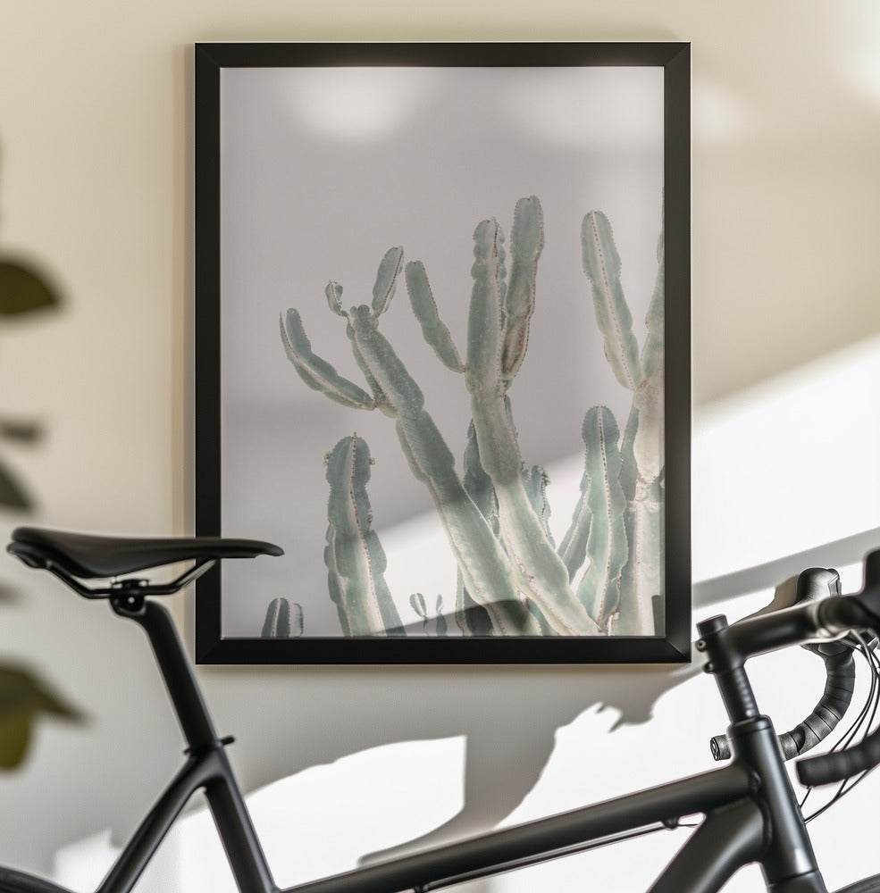 Sunrise Cactus - Poster / Art Print - interiör
