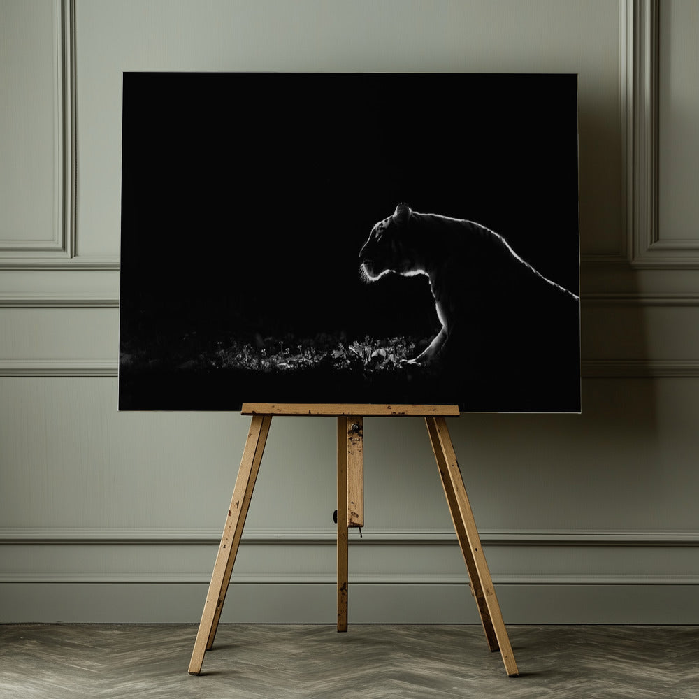 Tiger in the dark - Poster / Art Print - interiör