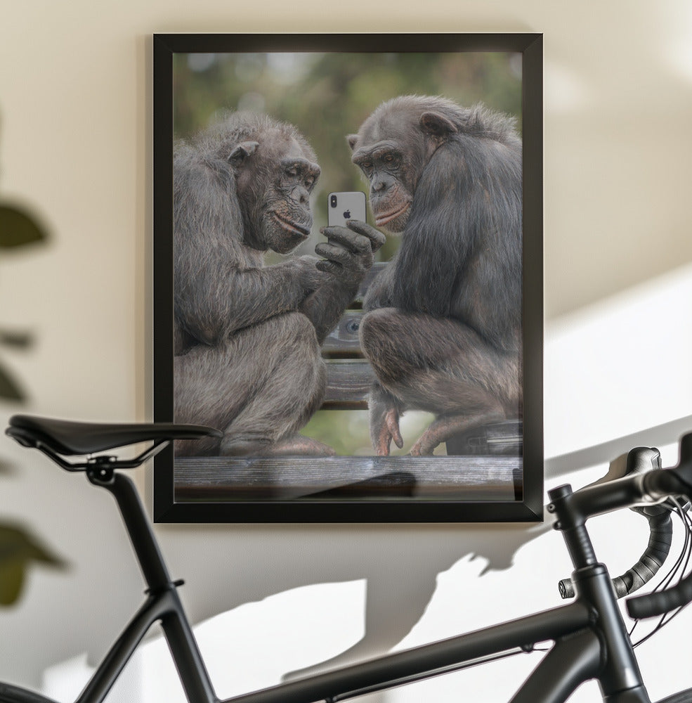 MonkeyPhone - Poster / Art Print - interiör