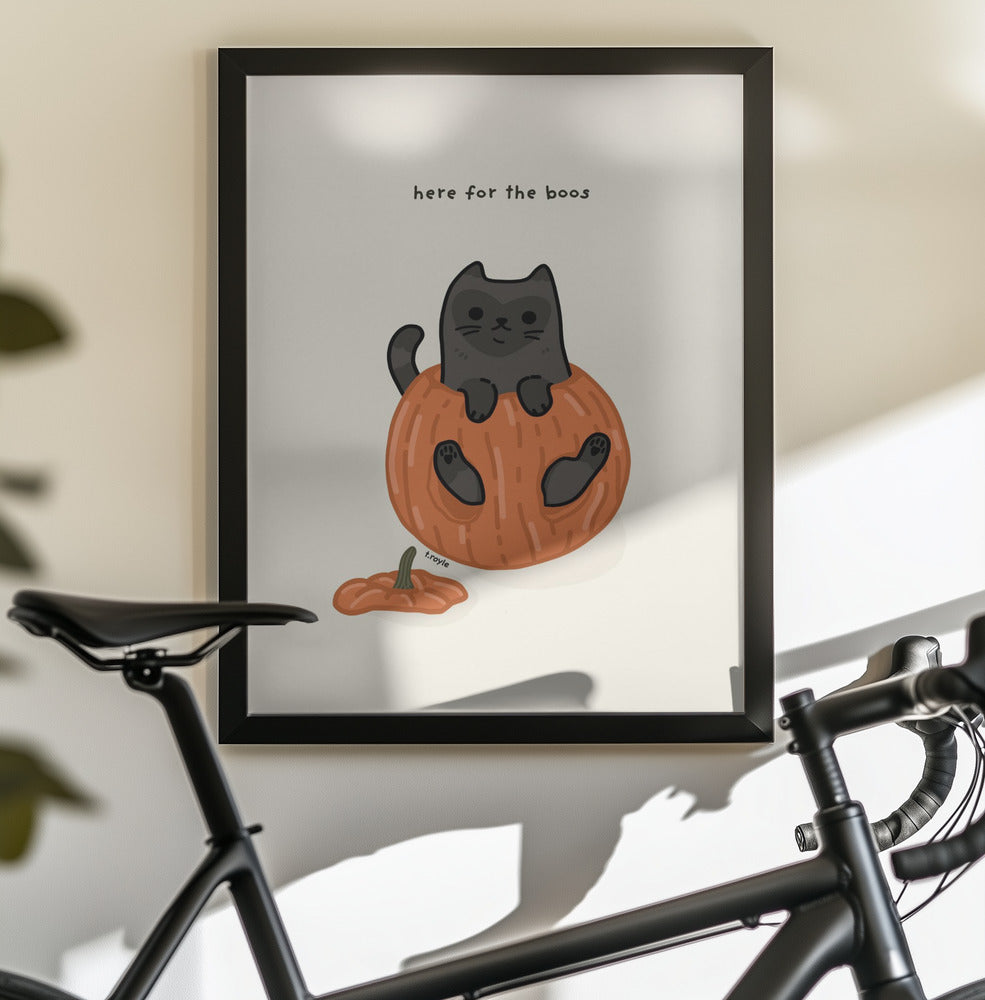 Black Cat Playfully Sitting In A Pumpkin - Poster / Art Print - interiör