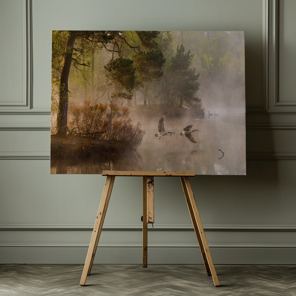 Goose fight - Poster / Art Print - interiör