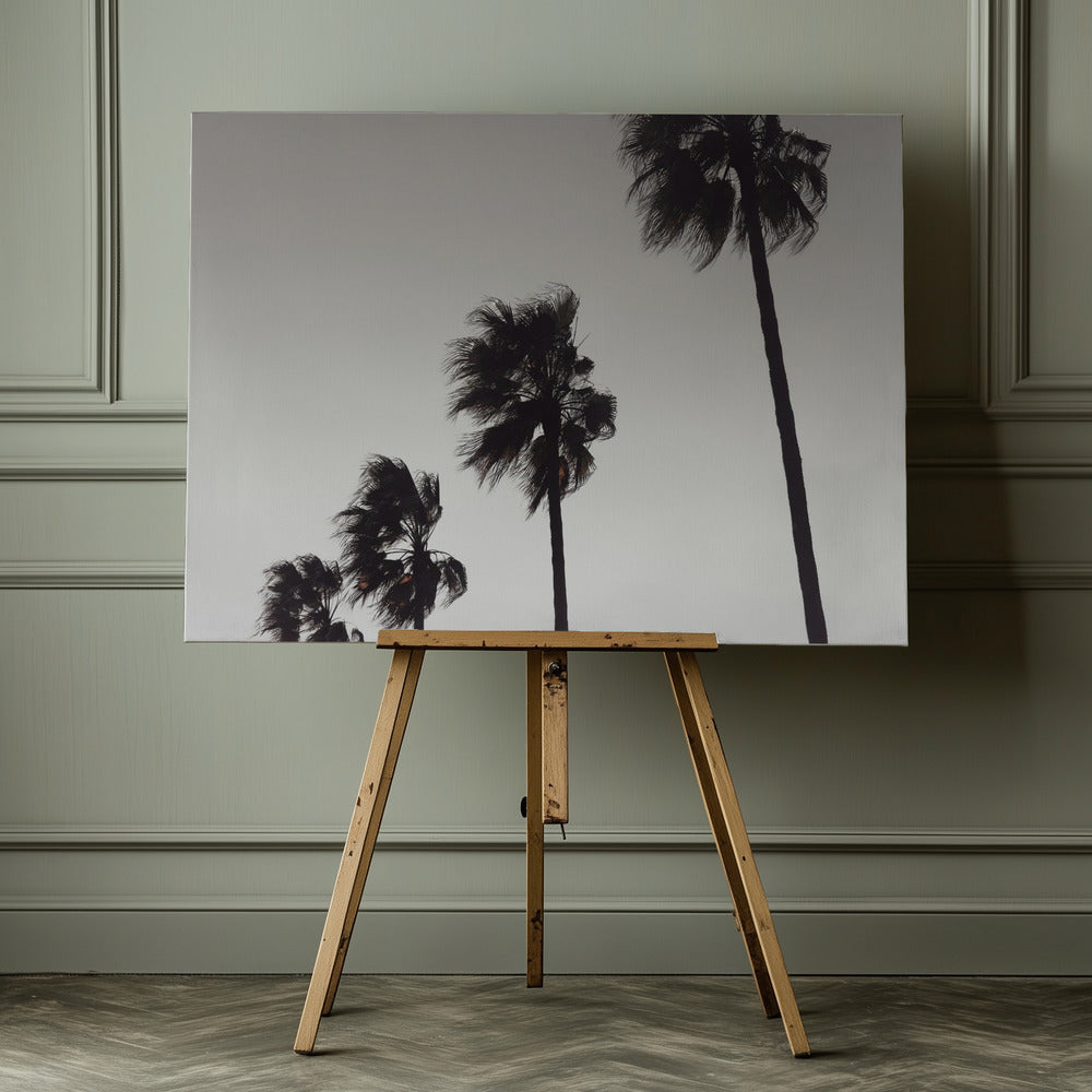 Palm_004 - Poster / Art Print - interiör
