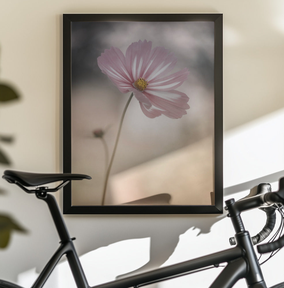Cosmos - Poster / Art Print - interiör