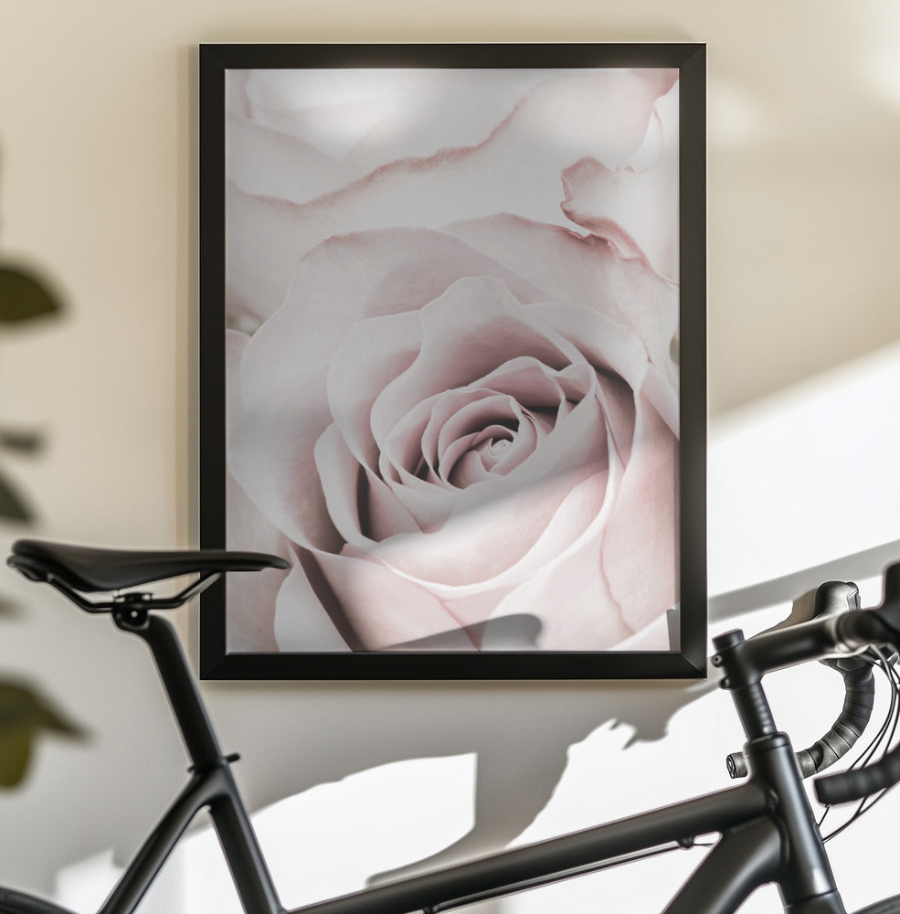 Pink Rose No 05 - Poster / Art Print - interiör