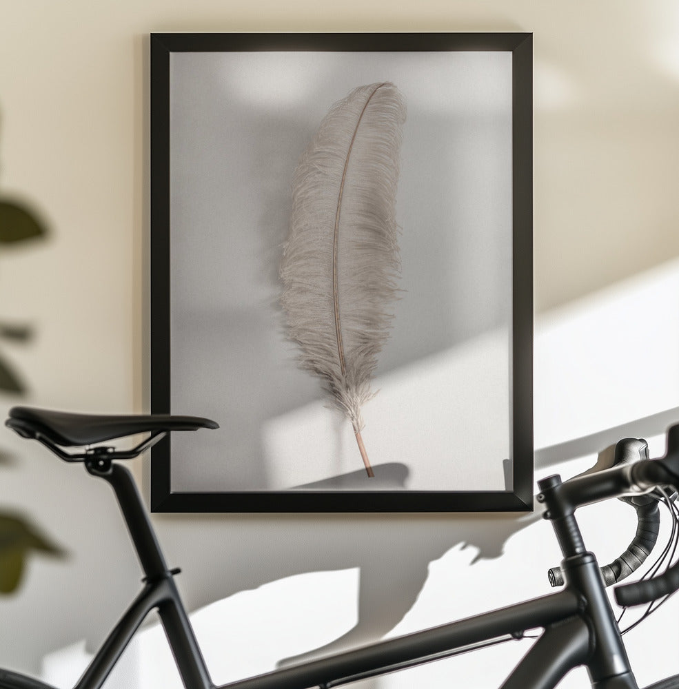 Feather_002 - Poster / Art Print - interiör