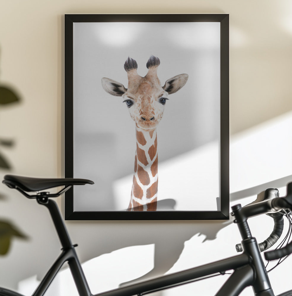 Baby Giraffe - Poster / Art Print - interiör