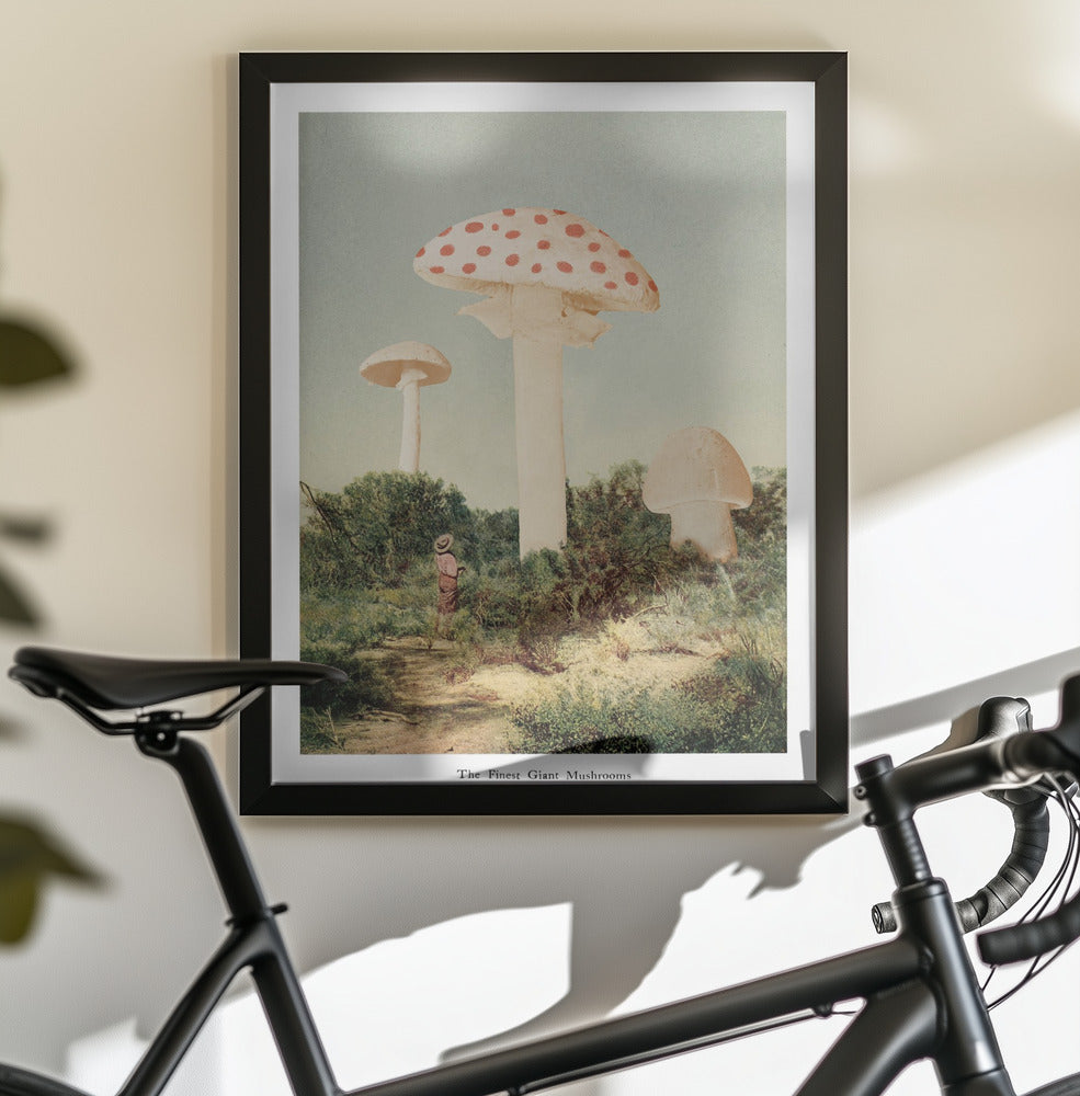 The Finest Giant Mushroom - Poster / Art Print - interiör