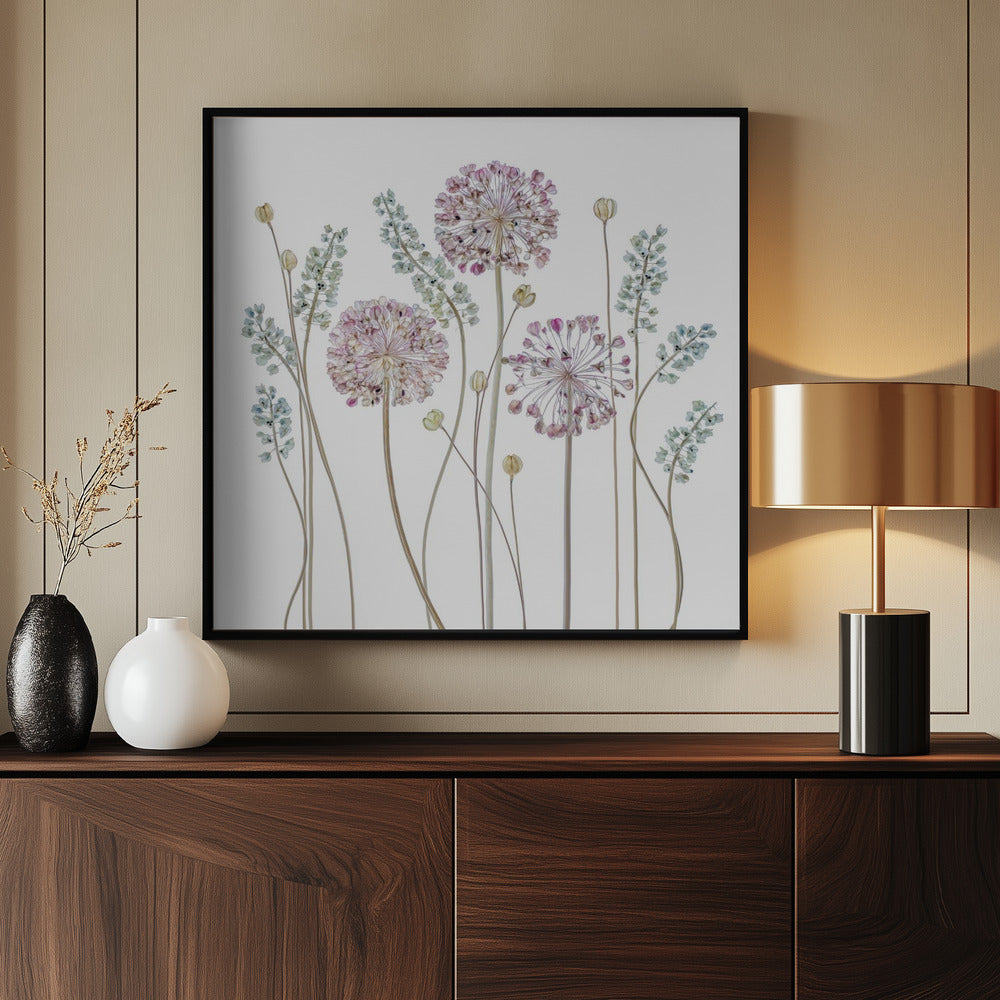Allium - Poster / Art Print - interiör