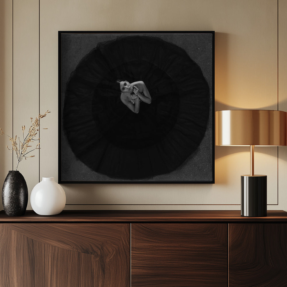 Black swan - Poster / Art Print - interiör