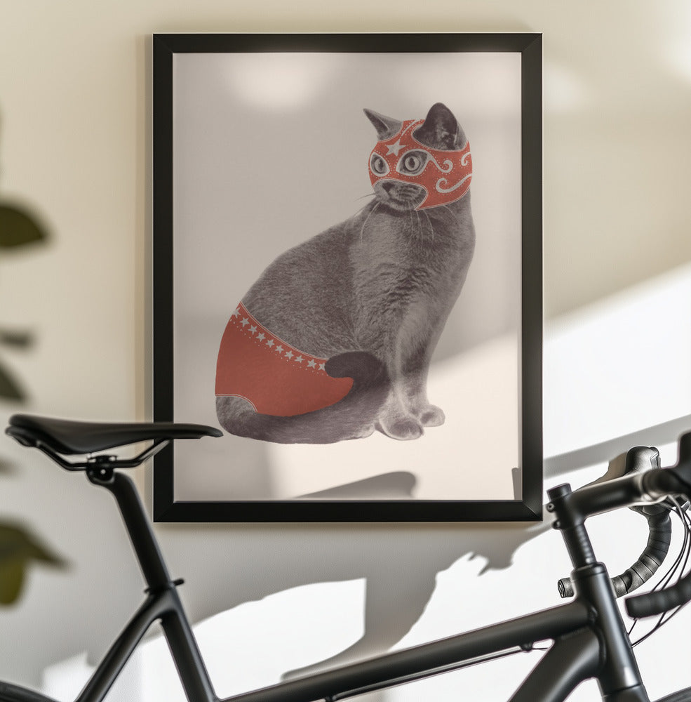 Chat Catcheur - Poster / Art Print - interiör