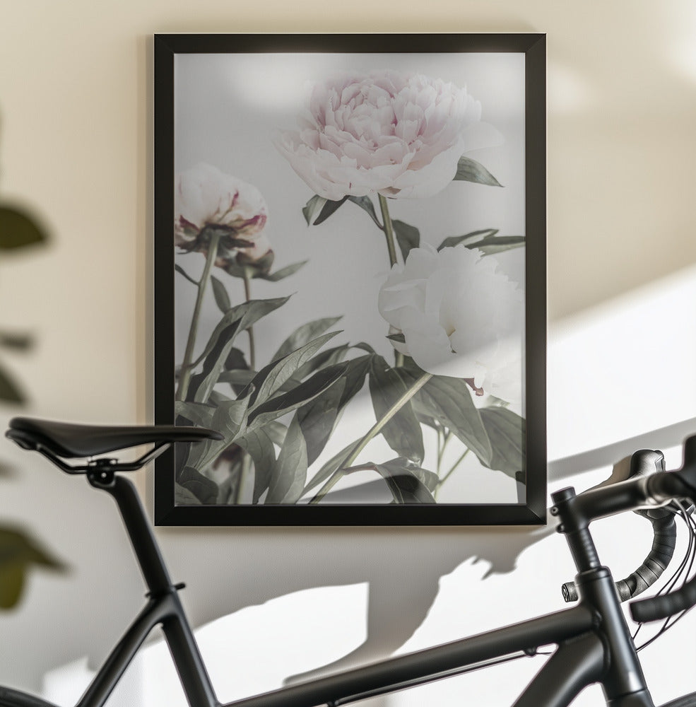 Peony 04 - Poster / Art Print - interiör