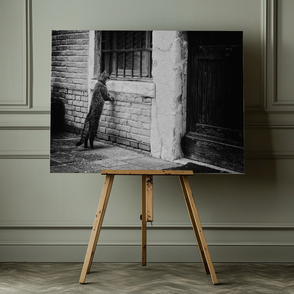 The cat - Poster / Art Print - interiör