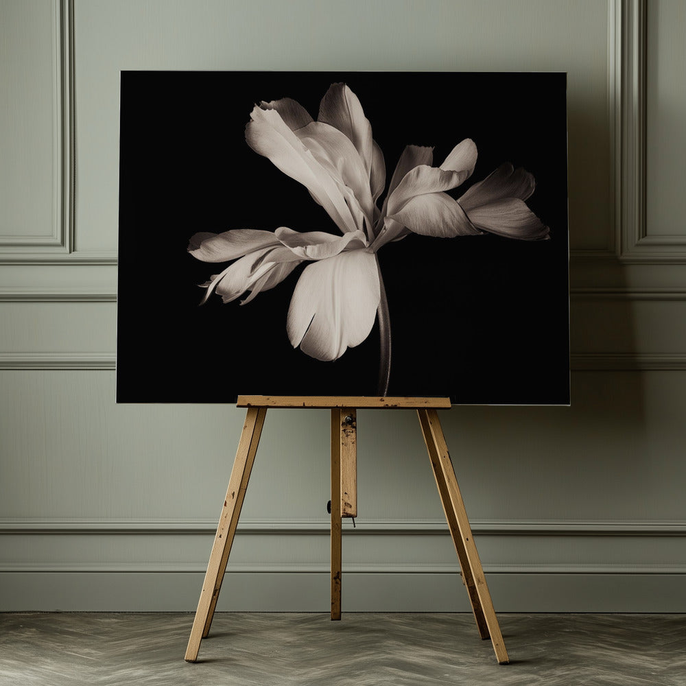 Tulip Exotic Emperor - Poster / Art Print - interiör