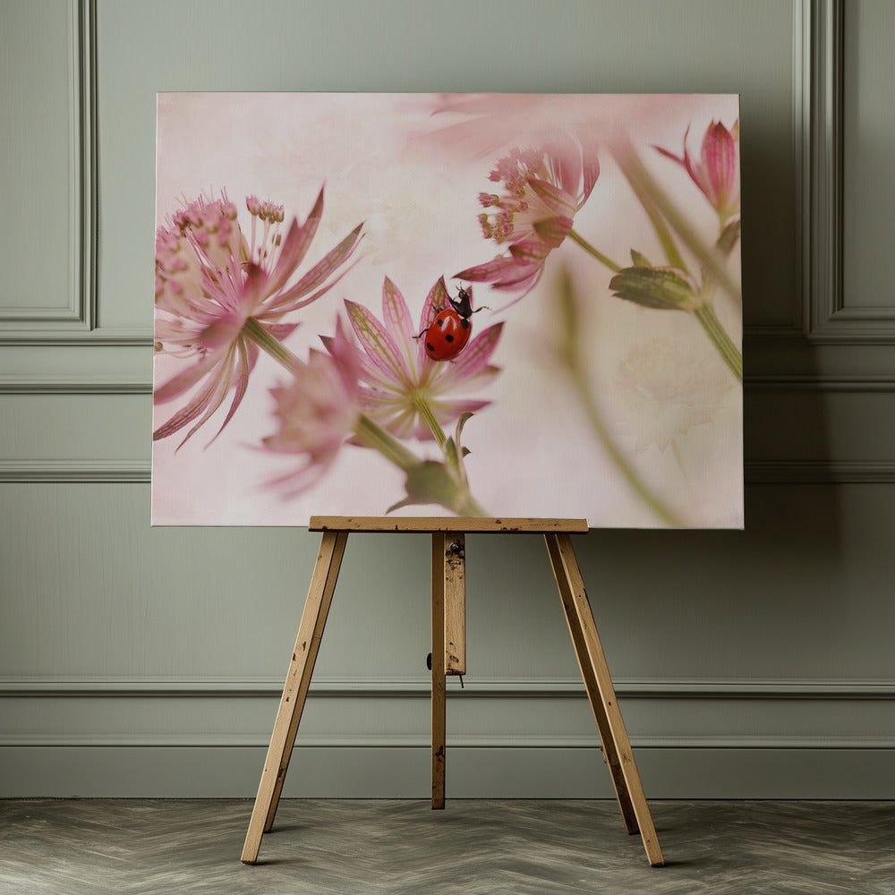 Ladybird and pink flowers - Poster / Art Print - interiör