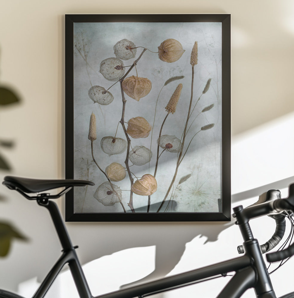 Lanterns* - Poster / Art Print - interiör