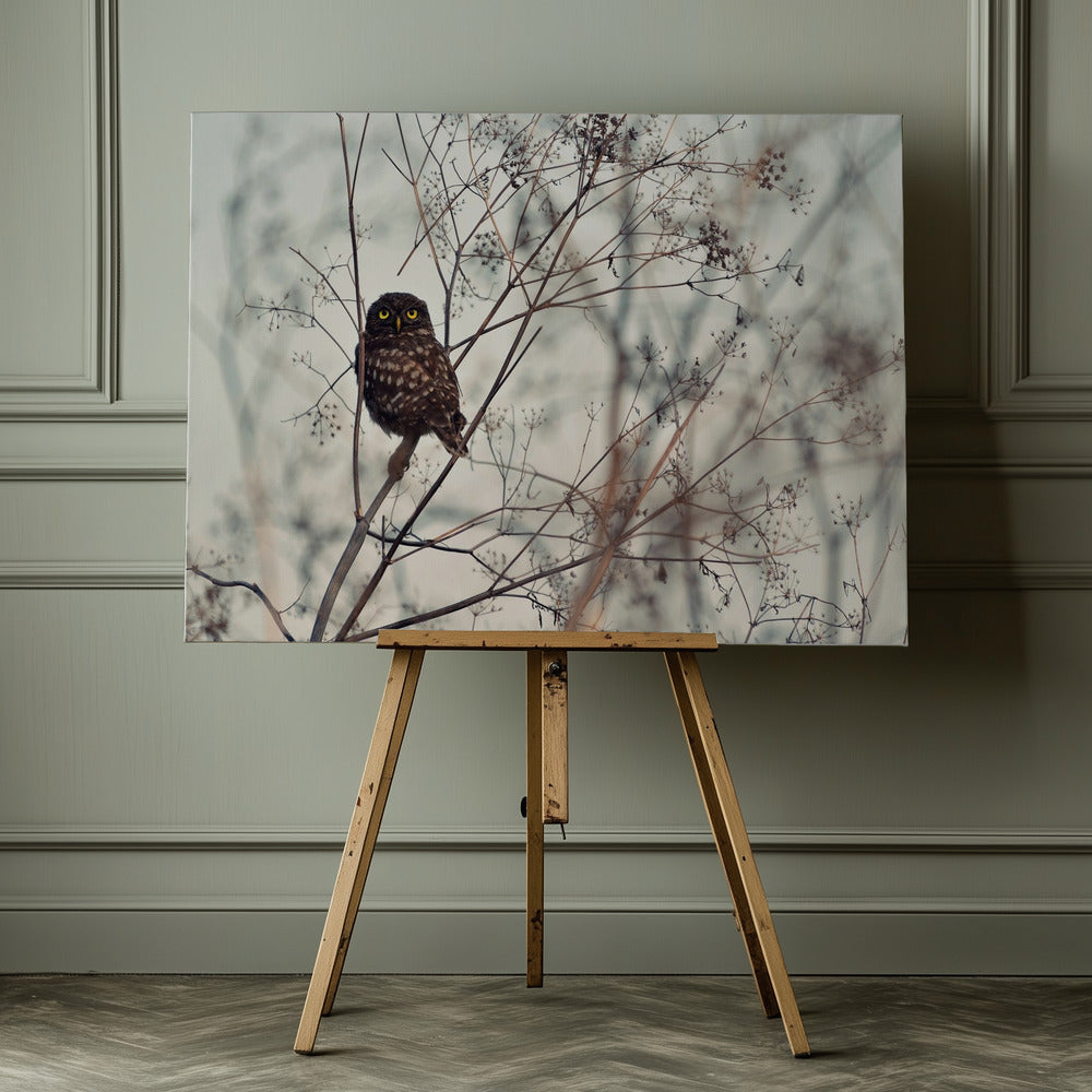 Look at Me! - Poster / Art Print - interiör