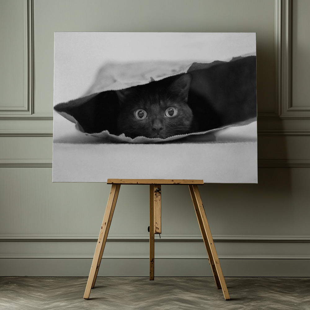 Cat in a bag - Poster / Art Print - interiör