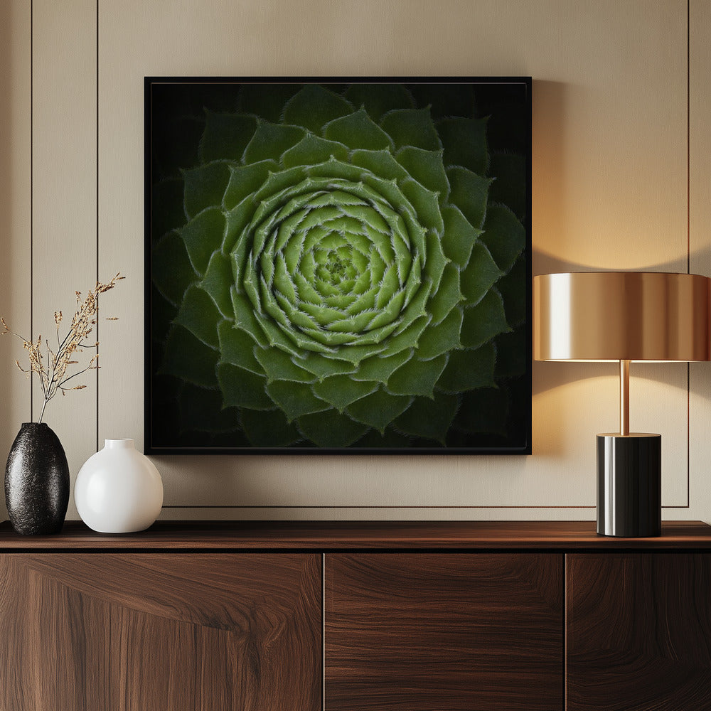 Succulent - Poster / Art Print - interiör