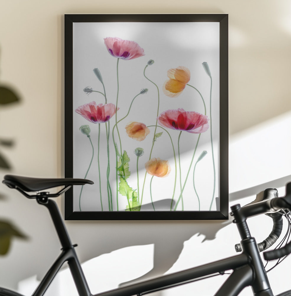 Poppies - Poster / Art Print - interiör
