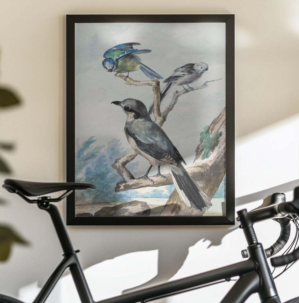 Three Birds - Poster / Art Print - interiör