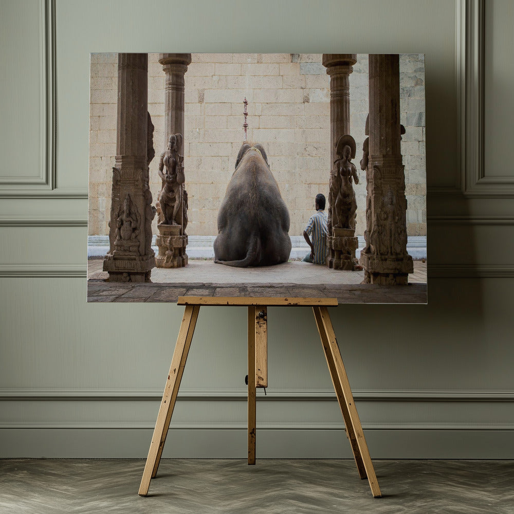 The Elephant & its Mahot - Poster / Art Print - interiör