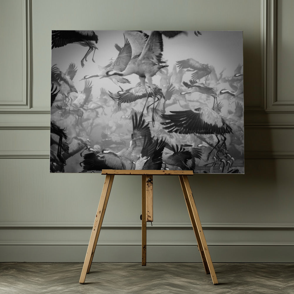 Chaos - Poster / Art Print - interiör