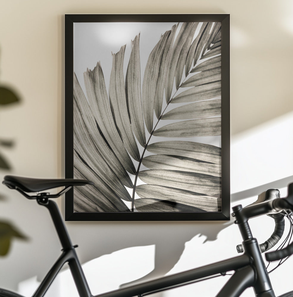 Palm Leaves 22 - Poster / Art Print - interiör