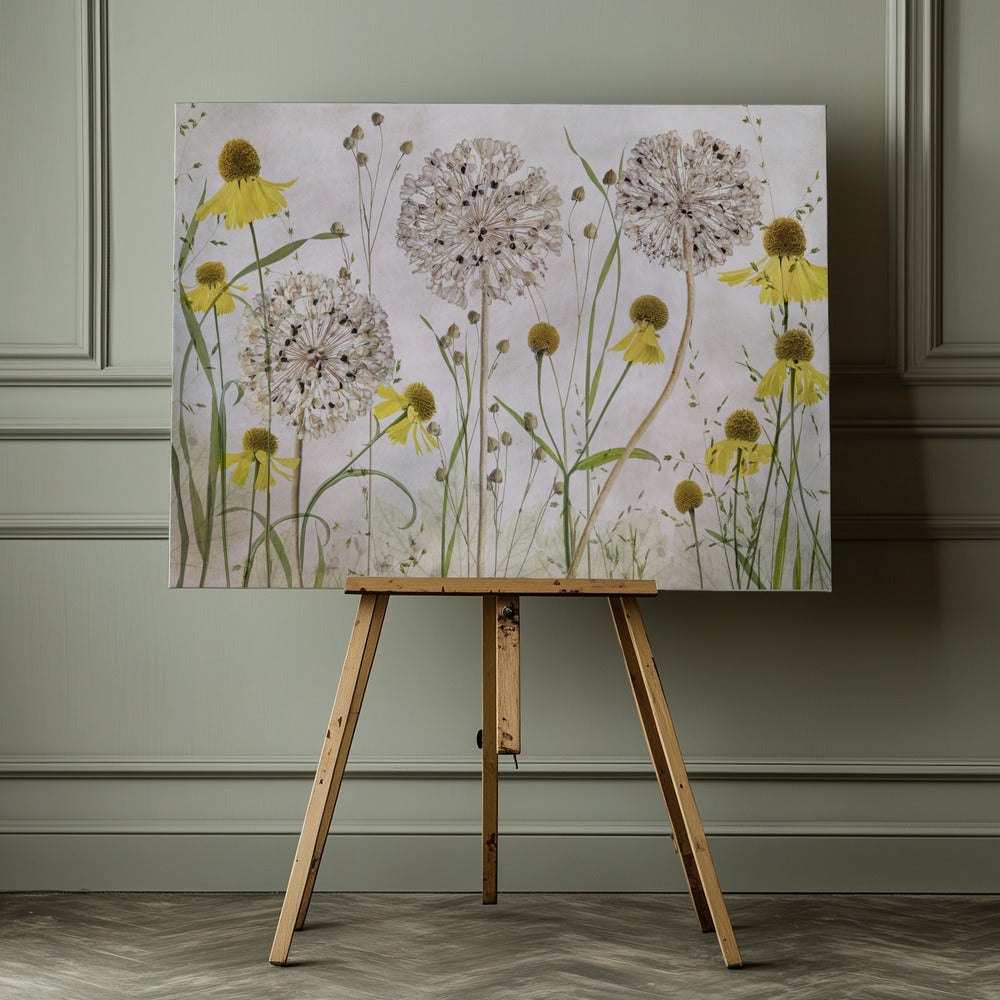 Alliums and heleniums - Poster / Art Print - interiör