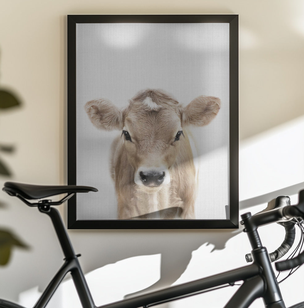 Peekaboo Baby Cow - Poster / Art Print - interiör