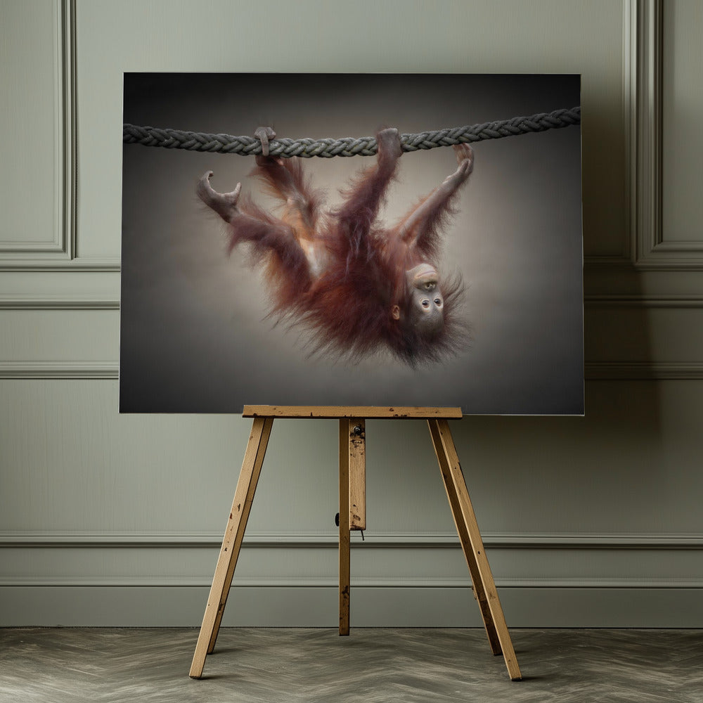 DON'T MURDER OUR PRIMEVAL FORESTS - Poster / Art Print - interiör