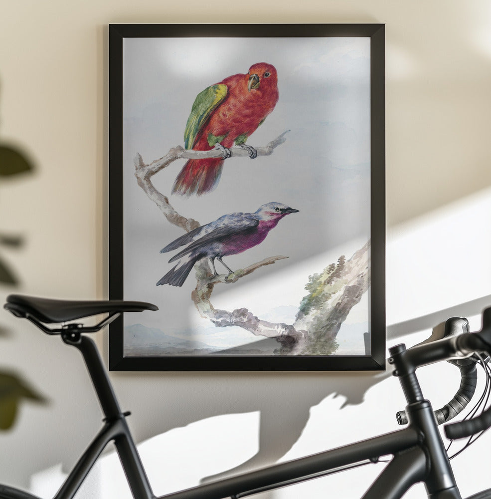 Two Birds, Including a Red Green Parrot - Poster / Art Print - interiör