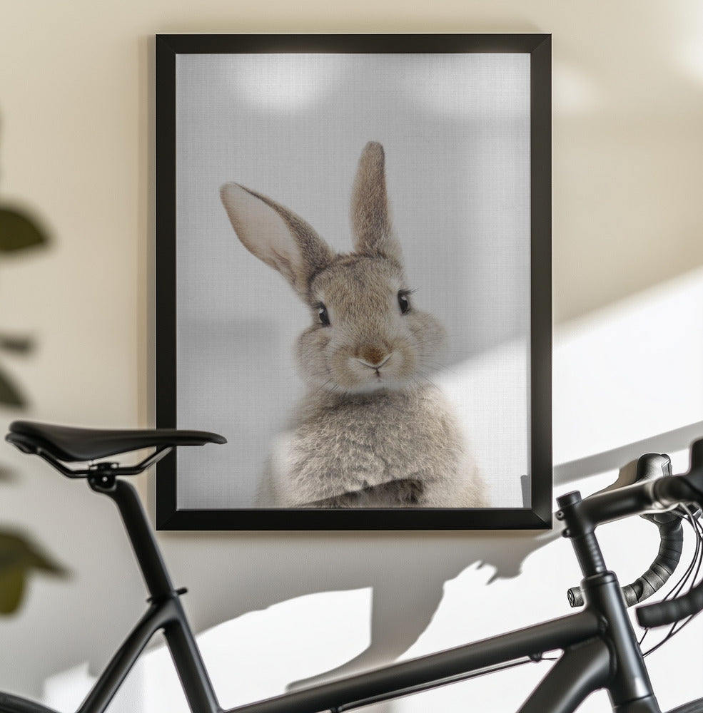 Peekaboo Bunny - Poster / Art Print - interiör