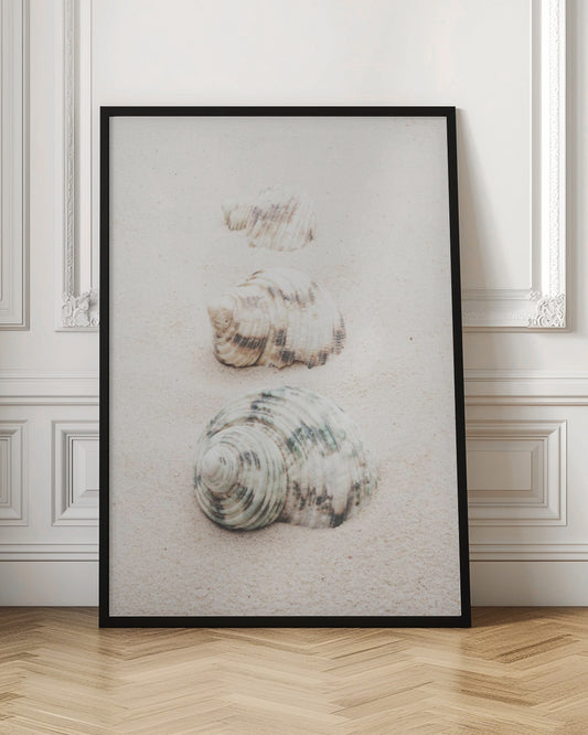 A close-up photograph of three seashells arranged in a vertical line on pale, fine-grained sand. The shells increase in size from top to bottom, with the largest, a white and green patterned turban shell, in the foreground. The image has a soft, serene quality and is enclosed in a black frame. Print