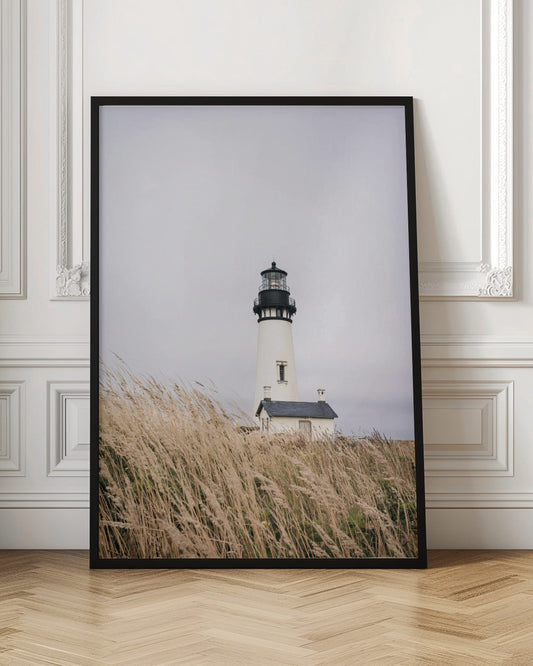 A framed photograph of a white lighthouse with a black top, set against a muted, overcast sky. The foreground is filled with tall, wild beige grass blowing in the wind, partially obscuring the base of the lighthouse. Decor