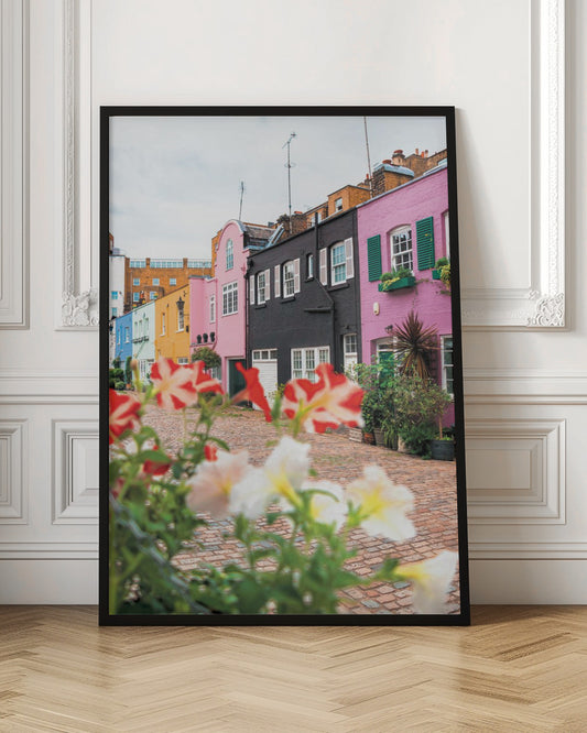 A low-angle view of a charming, narrow cobblestone street lined with colorful row houses in shades of pink, black, yellow, and blue, with blurred red and white petunias in the foreground. Wall Art